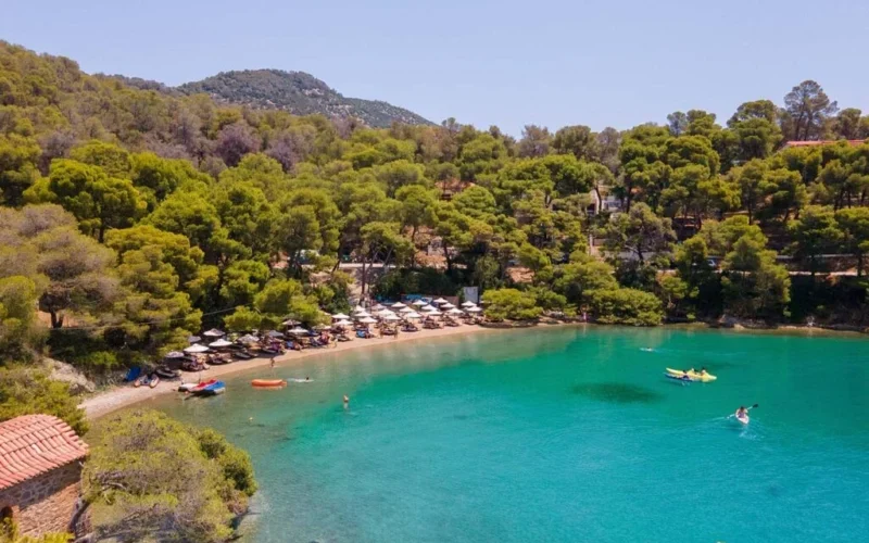 Παραλία Love Bay στον Πόρο με πεύκα και καθαρά νερά