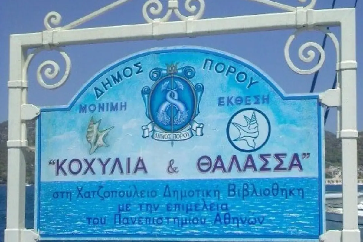Μουσείο Κοχυλιών στον Πόρο δίπλα στο Poros Mood